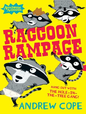 cover image of Raccoon Rampage